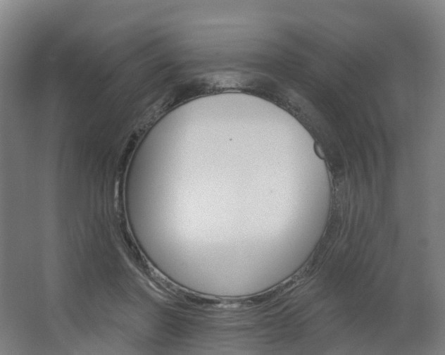 X0000062640406200512281626