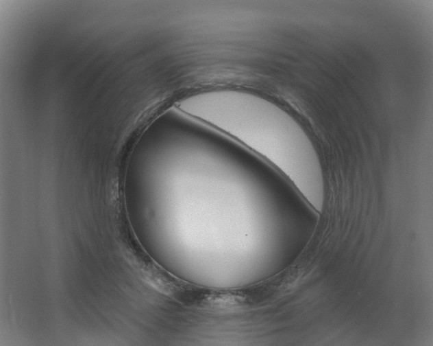 X0000062640407200512281626