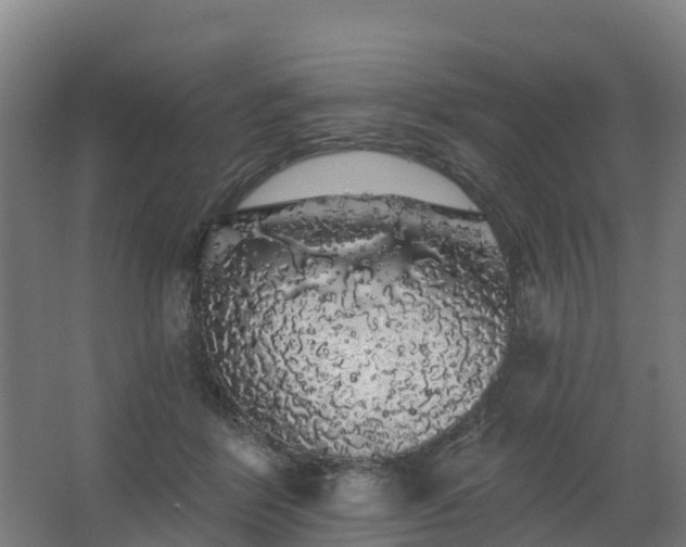 X0000062640412200512281626
