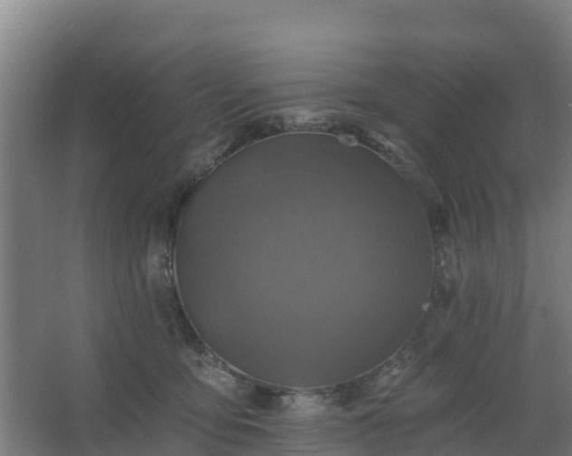 X0000062640419200512281626