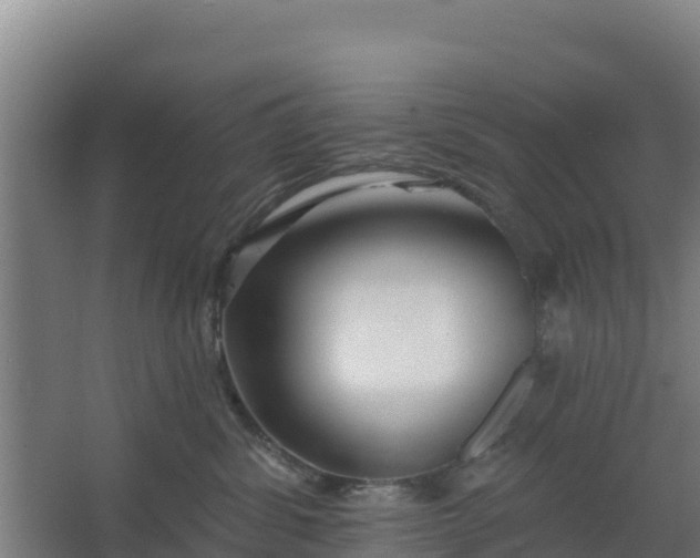 X0000062640428200512281626