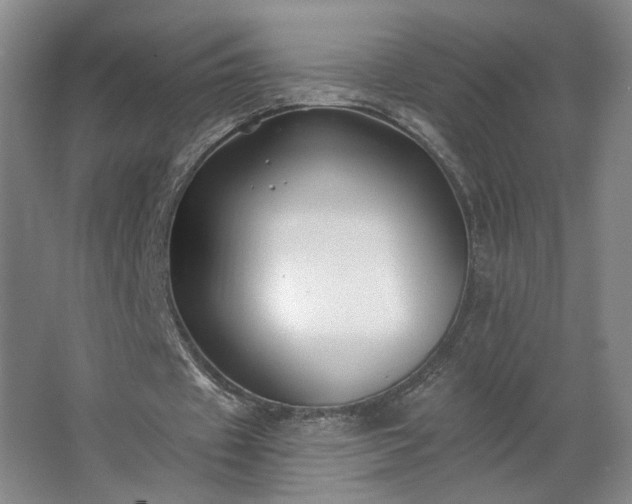 X0000062640433200512281625