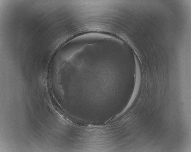 X0000062640434200512281625