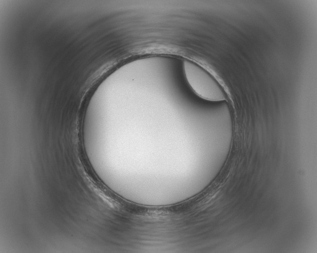 X0000062640437200512281625