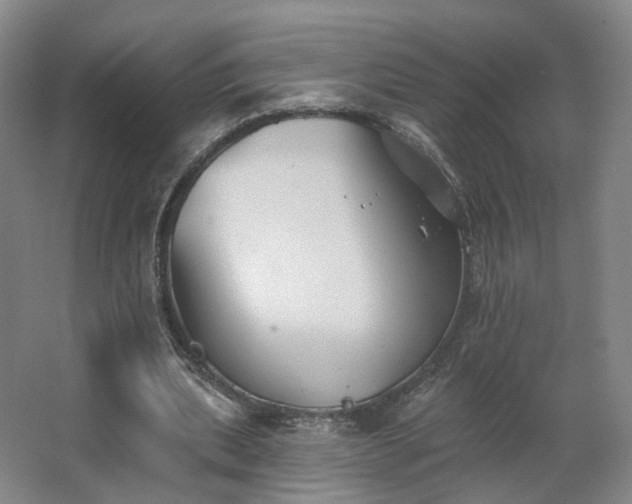 X0000062640439200512281625