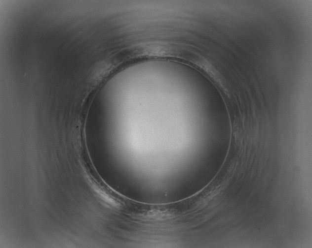 X0000062640445200512281625