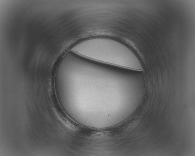 X0000062640447200512281625