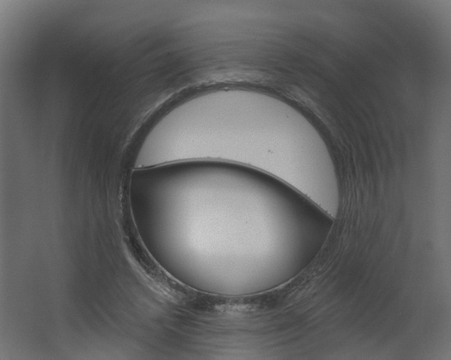 X0000062640448200512281625