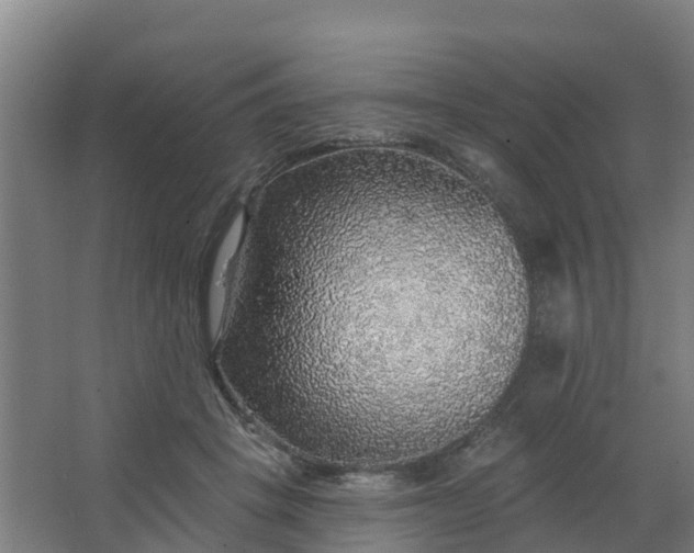 X0000062640457200512281626