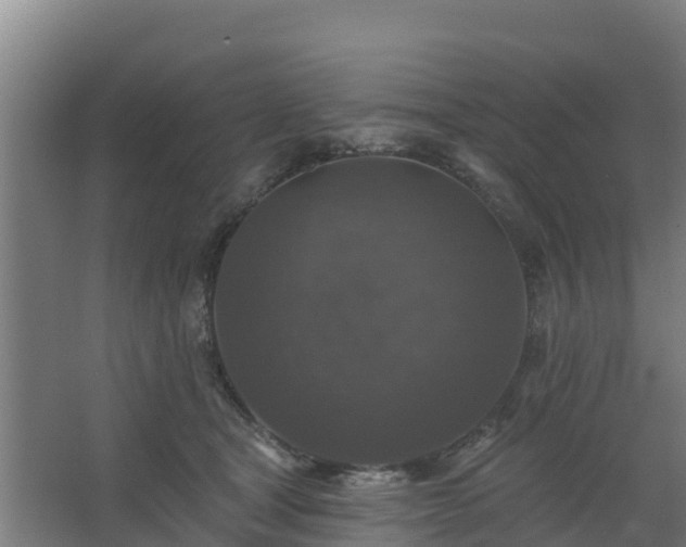 X0000062640465200512281626