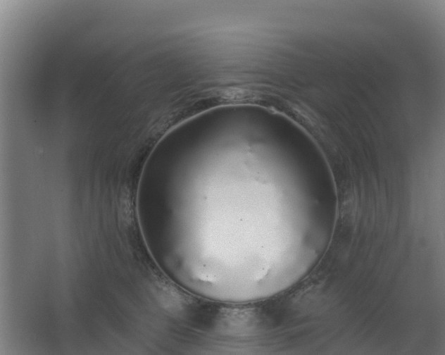 X0000062640469200512281626