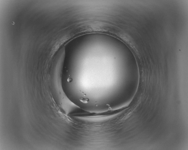X0000062640481200512281625