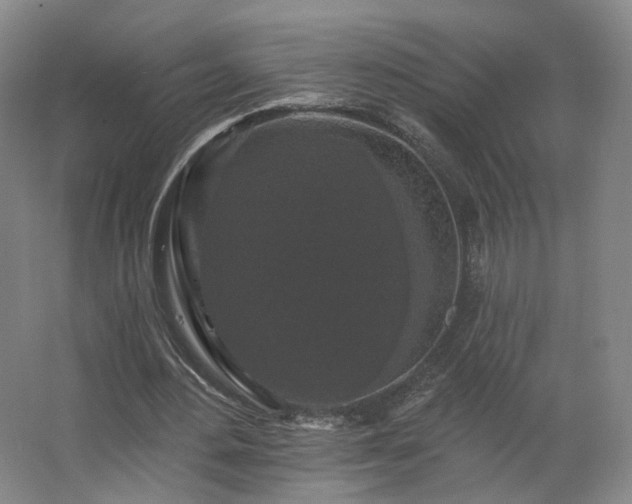 X0000062640484200512281625