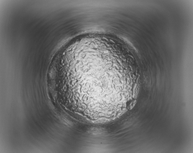 X0000062640487200512281625