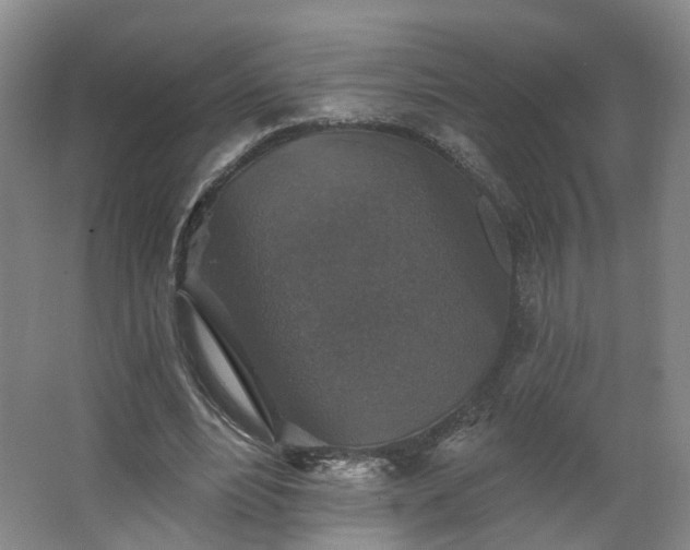 X0000062640488200512281625