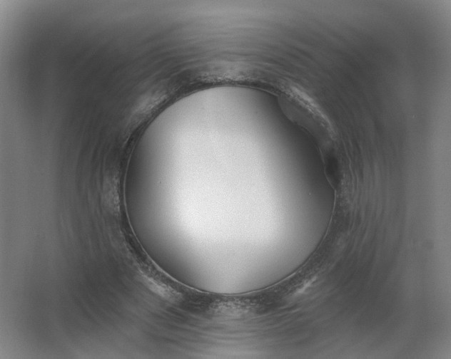 X0000062640489200512281625