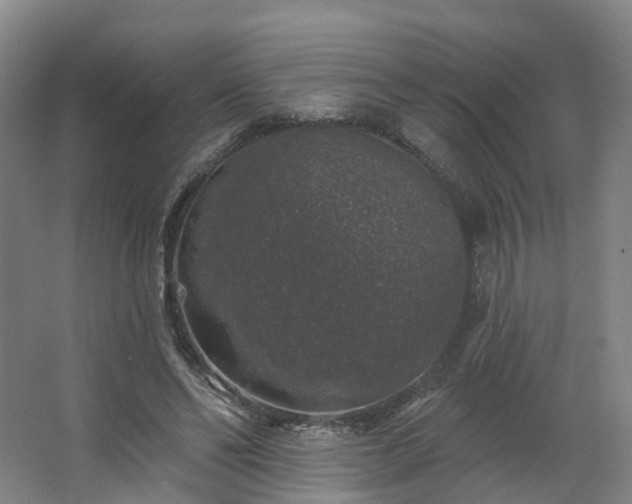X0000062640494200512281625