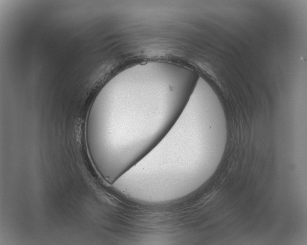 X0000062640495200512281625