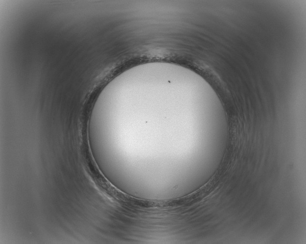 X0000062640496200512281625
