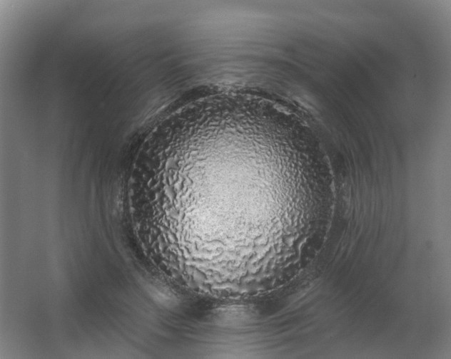 X0000062640499200512281625