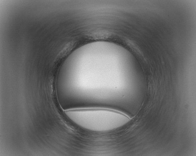 X0000062640501200512281625