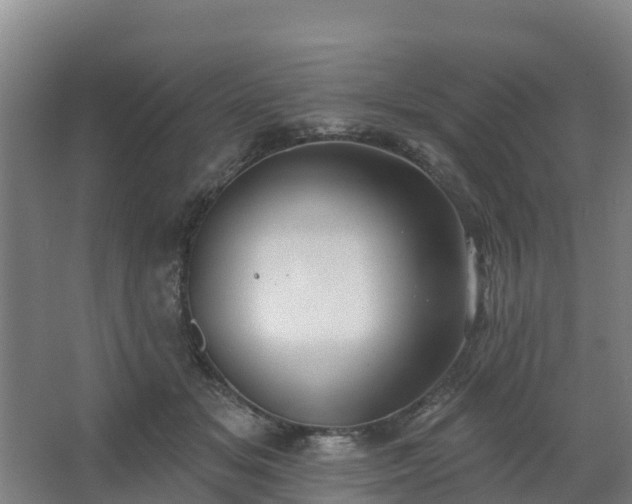 X0000062640509200512281625