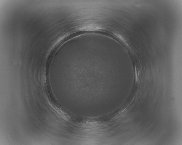 X0000062640531200512281624