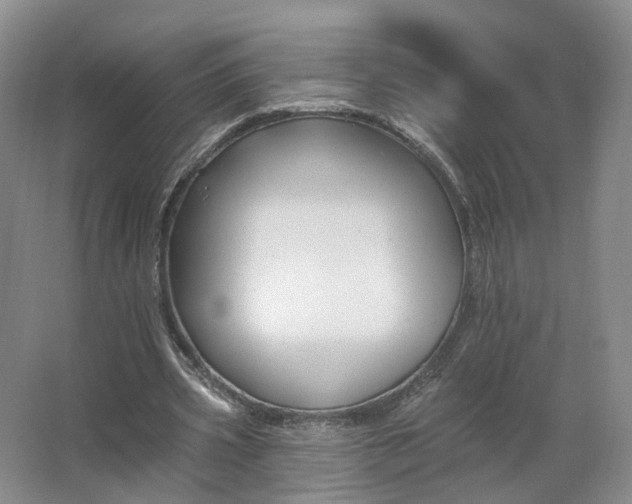 X0000062640533200512281624