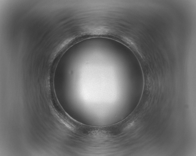 X0000062640535200512281624