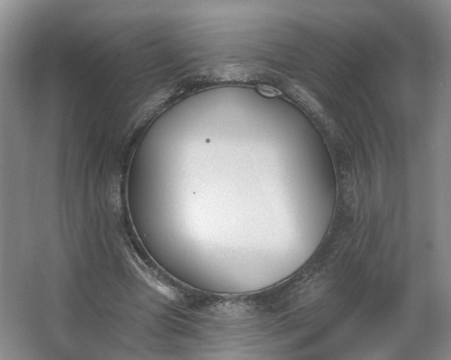 X0000062640537200512281624