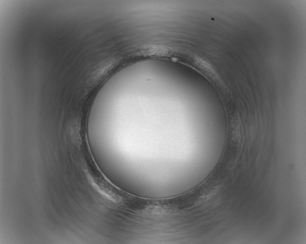 X0000062640538200512281624