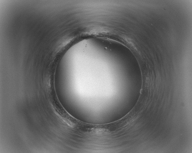 X0000062640539200512281624