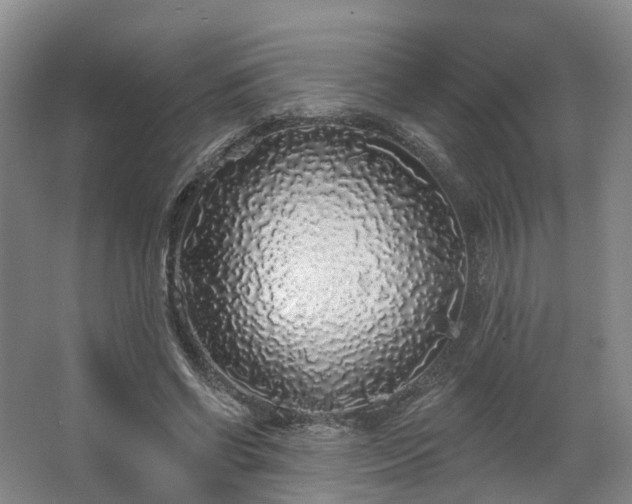 X0000062640542200512281624