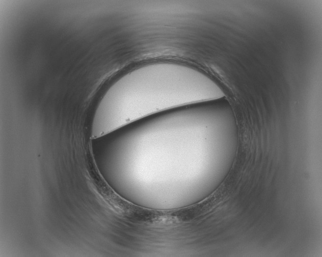 X0000062640543200512281624