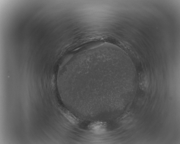 X0000062640563200512281624