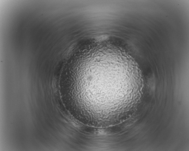 X0000062640565200512281624