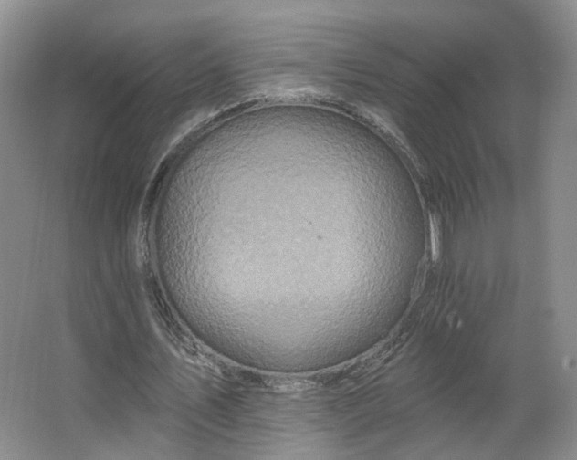 X0000062640579200512281623