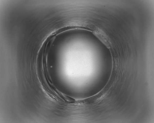 X0000062640580200512281623