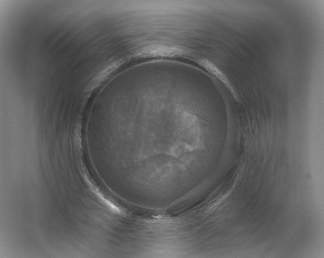 X0000062640581200512281623