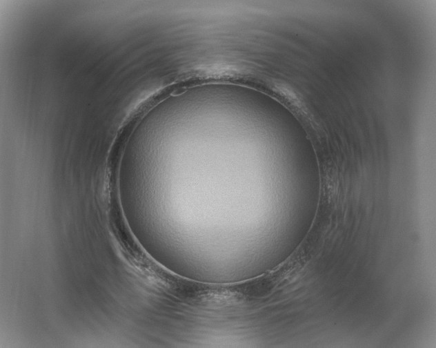 X0000062640583200512281623