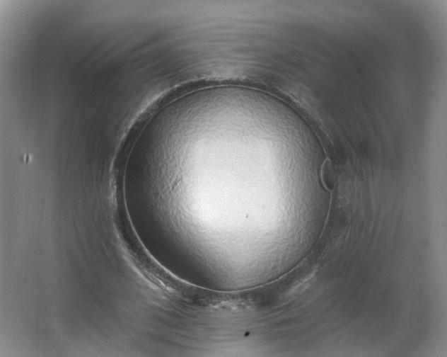 X0000062640584200512281623