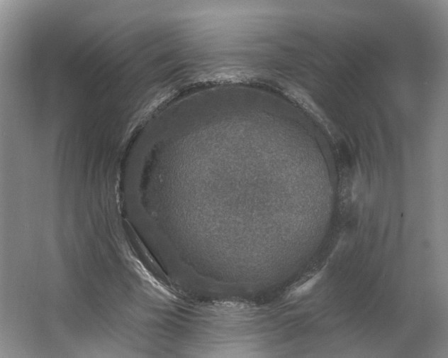 X0000062640585200512281623