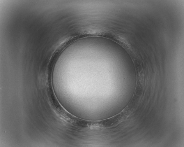 X0000062640587200512281623
