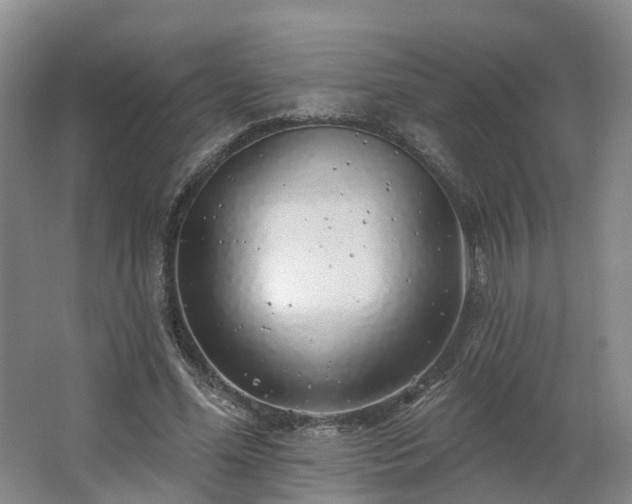X0000062640588200512281623