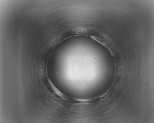 X0000062640604200512281623
