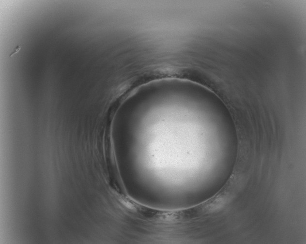 X0000062640624200512281623