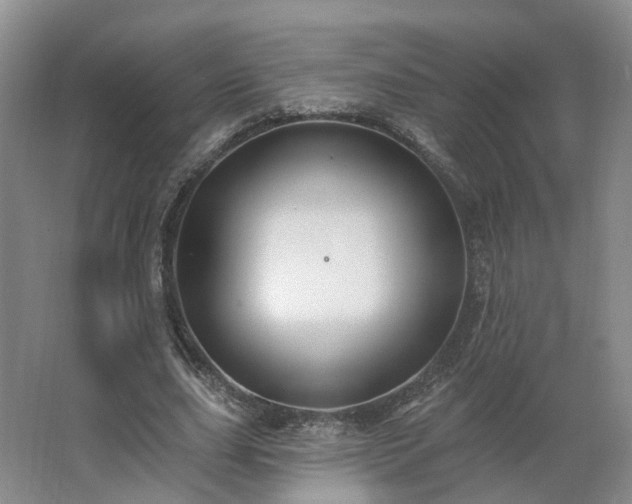 X0000062640631200512281622