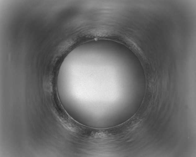 X0000062640635200512281622
