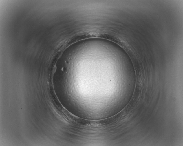 X0000062640639200512281622