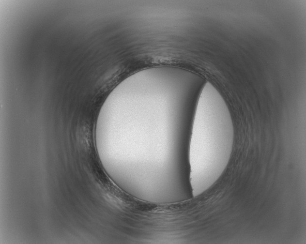 X0000062640648200512281622